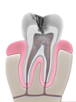 Anatomia Dentale